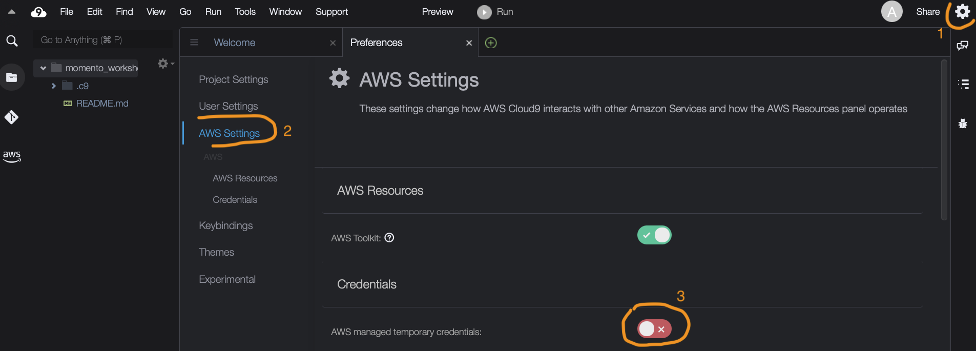 Configure Cloud9 Auth
